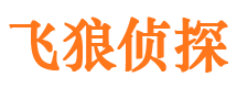 雁塔飞狼私家侦探公司